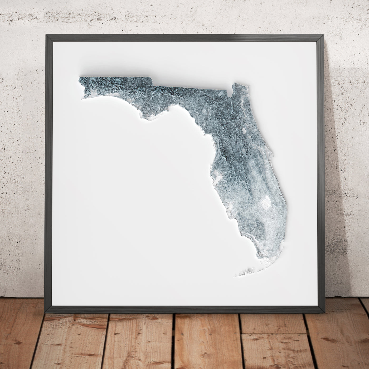 Florida Topographic 3D Relief Map