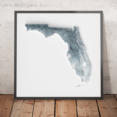 Florida Topographic 3D Relief Map