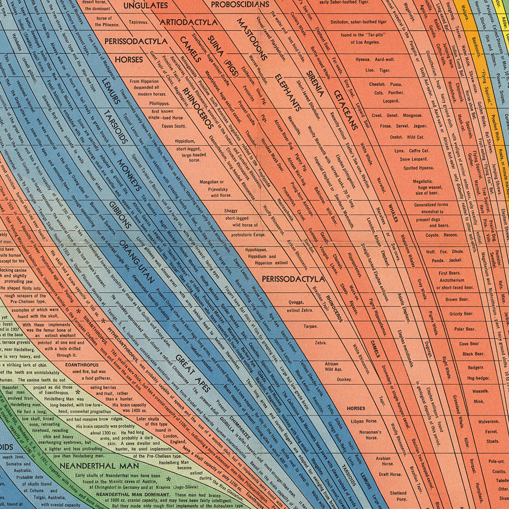 The Histomap of Evolution by John B Sparks, 1942: 10 Billion Years of Life on Earth