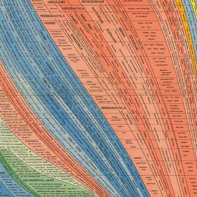 The Histomap of Evolution by John B Sparks, 1942: 10 Billion Years of Life on Earth