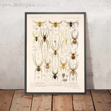 A framed image of 