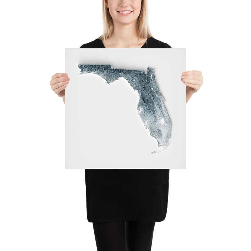 Mappa topografica 3D in rilievo della Florida 
