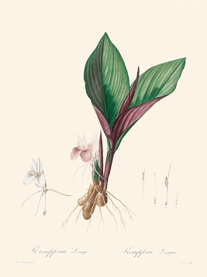 Visualiser thumbnail artwork