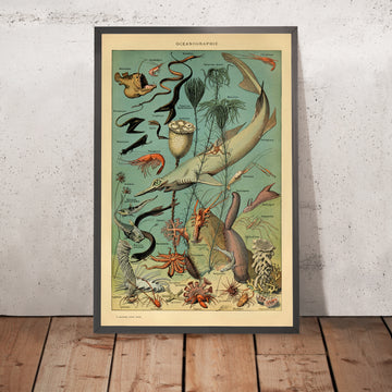 A framed image of Oceanography by Adolphe Millot 1890