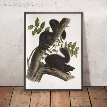 A framed image of 