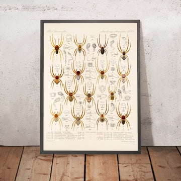 A framed image of 
