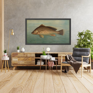 A framed image of 
