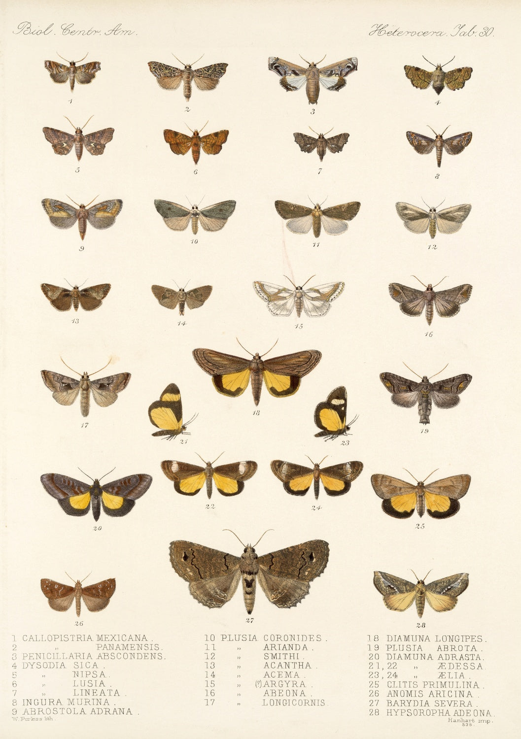 Artwork preview