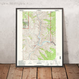 Map of Riggins, Idaho by USGS, 1995 – Salmon River & Nez Perce National Forest