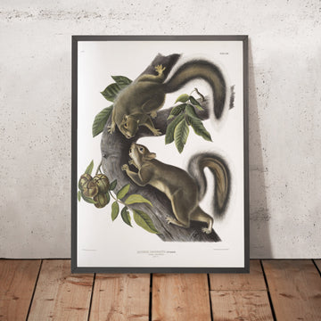 A framed image of 
