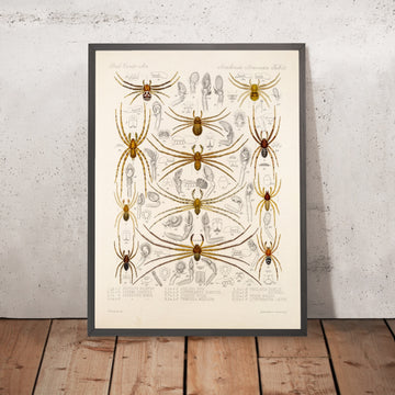 A framed image of 