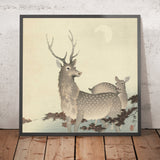 Two Deer by Ohara Koson, 1900