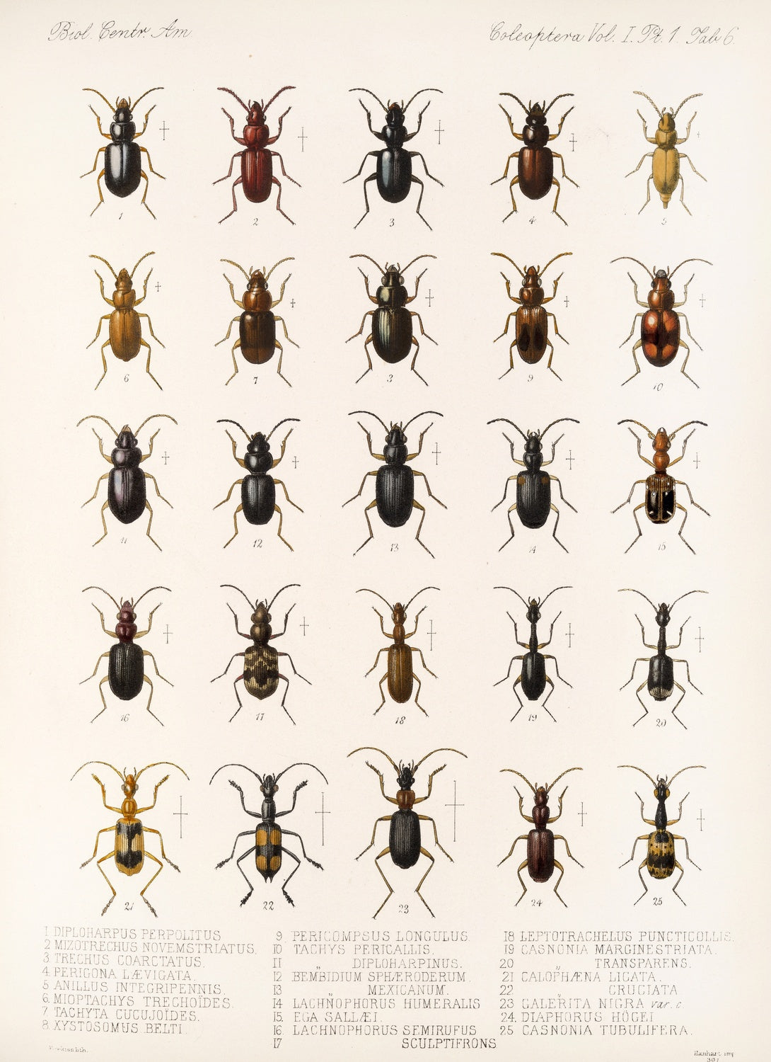 Artwork preview