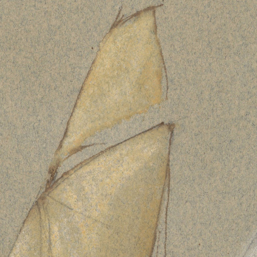 Spedizione da Turner, 1828 