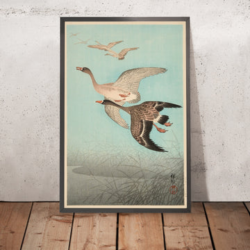 A framed image of 