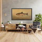 Rainbow Trout (Salmo irideus) by John L. Petrie, 1898