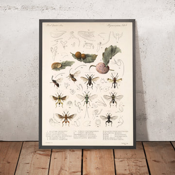A framed image of 