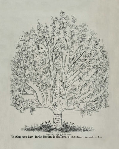 El derecho consuetudinario en la semejanza de un árbol, de RC Bierce, 1878