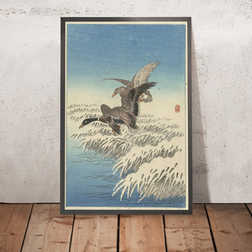 A framed image of 