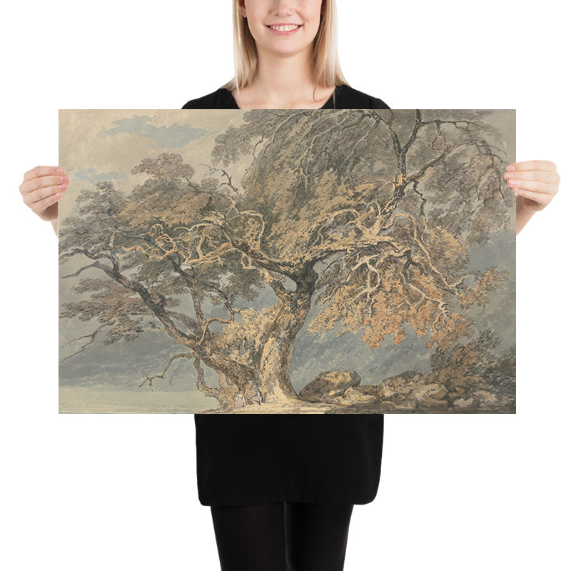 A Great Tree by Turner, 1796