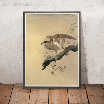 A framed image of 