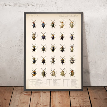 A framed image of 