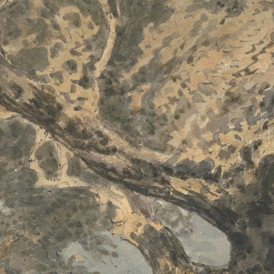 A Great Tree by Turner, 1796