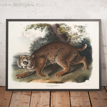 A framed image of 