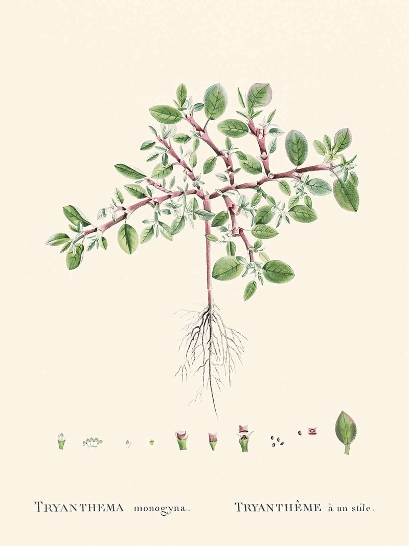 Visualiser thumbnail artwork