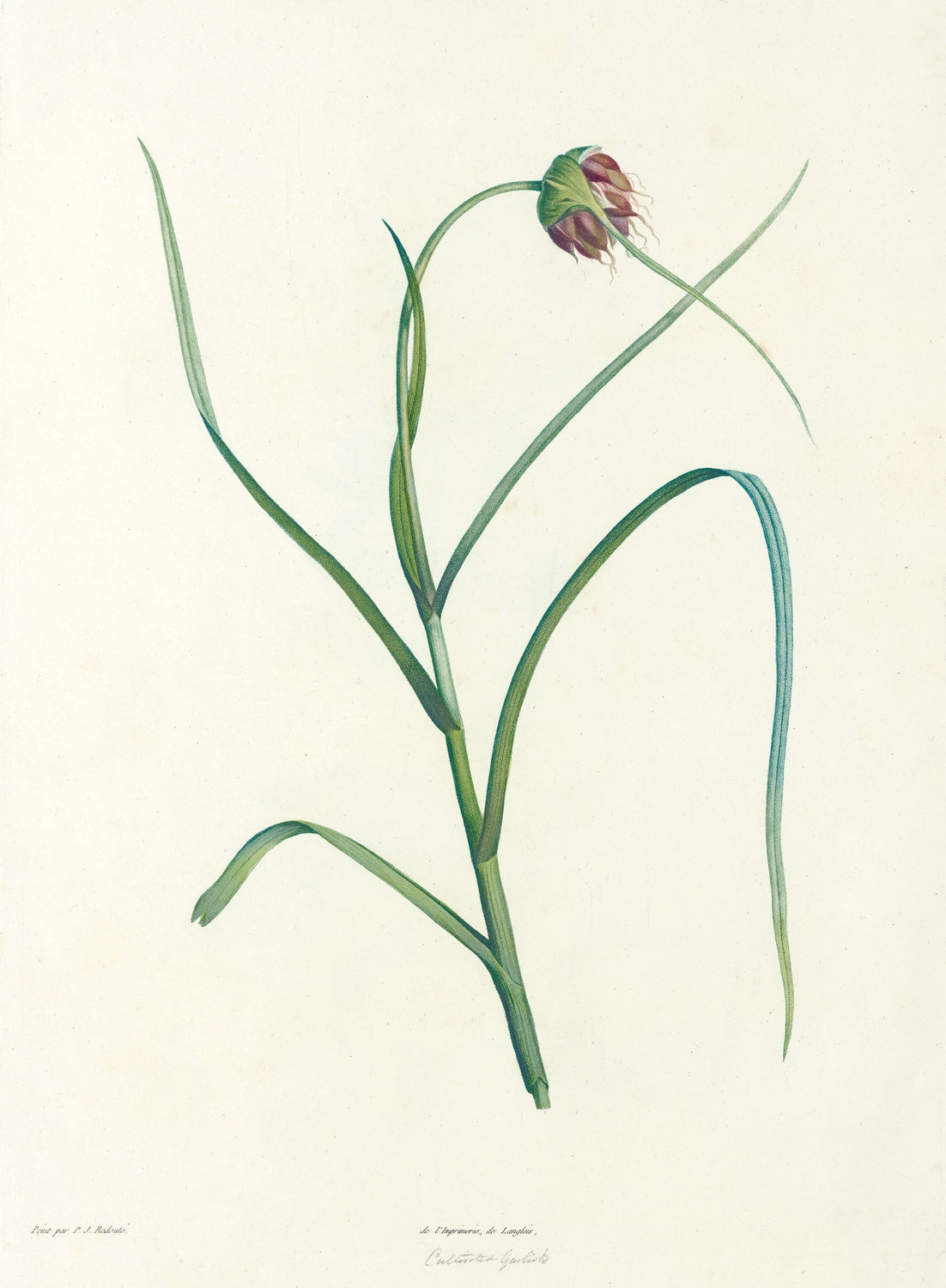 Artwork preview
