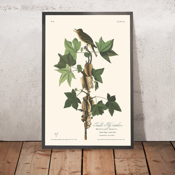 A framed image of Traill&