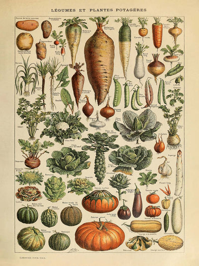 Legumes by Adolphe Millot, 1890