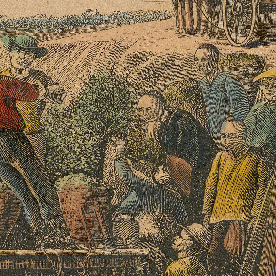 Prima immagine della produzione di vino in California di Harper&