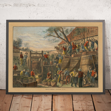 Prima immagine della produzione di vino in California di Harper&