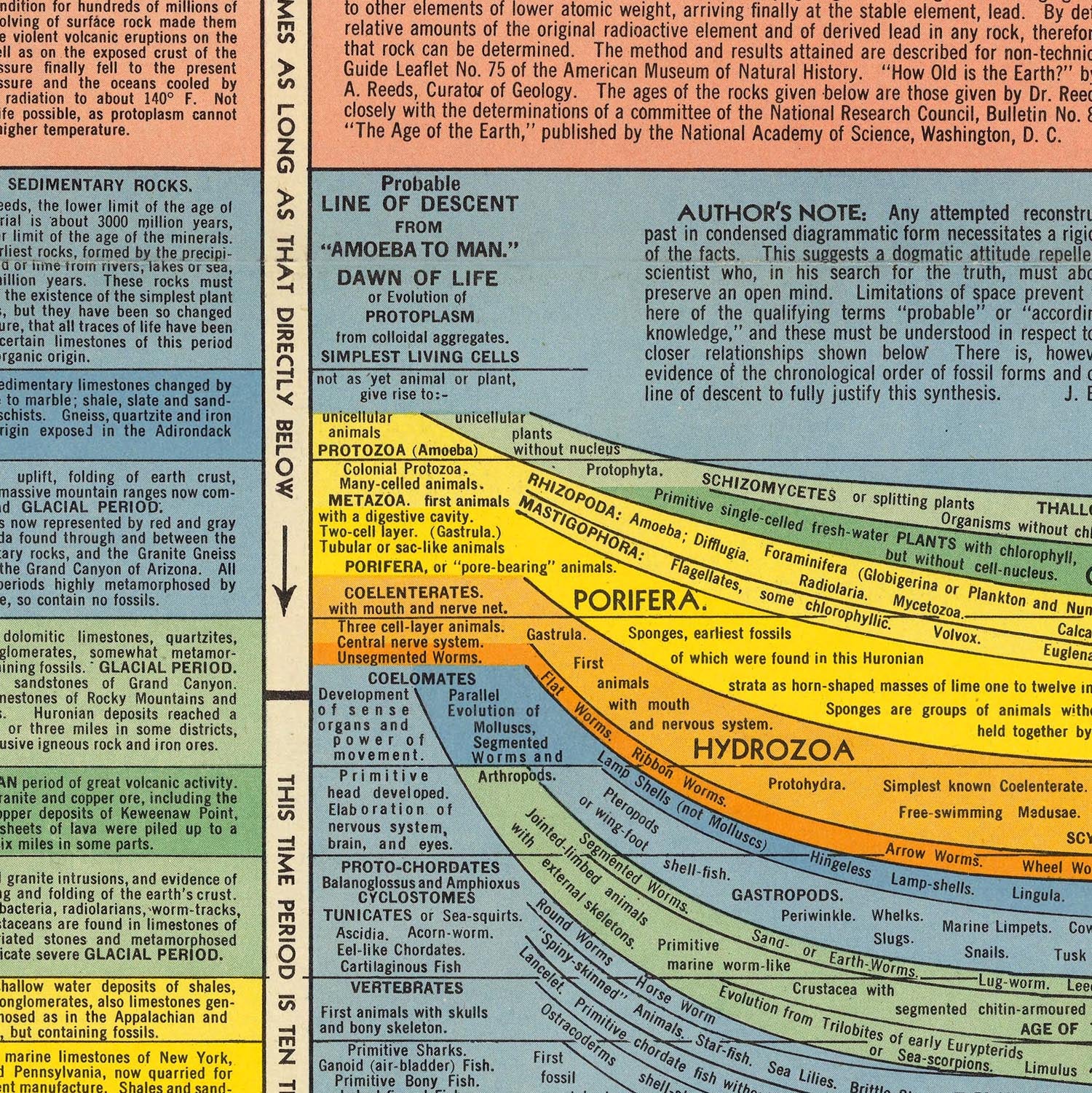 The Histomap of Evolution by John B Sparks, 1942: 10 Billion Years of ...