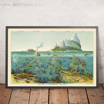 Natura nelle regioni discendenti di Yaggy, 1893 