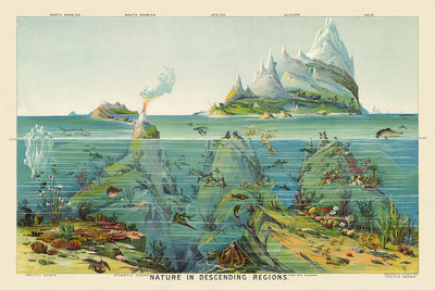 Nature in Descending Regions by Yaggy, 1893