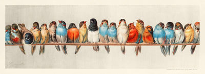 Una percha de pájaros de Hector Giacomelli, 1880