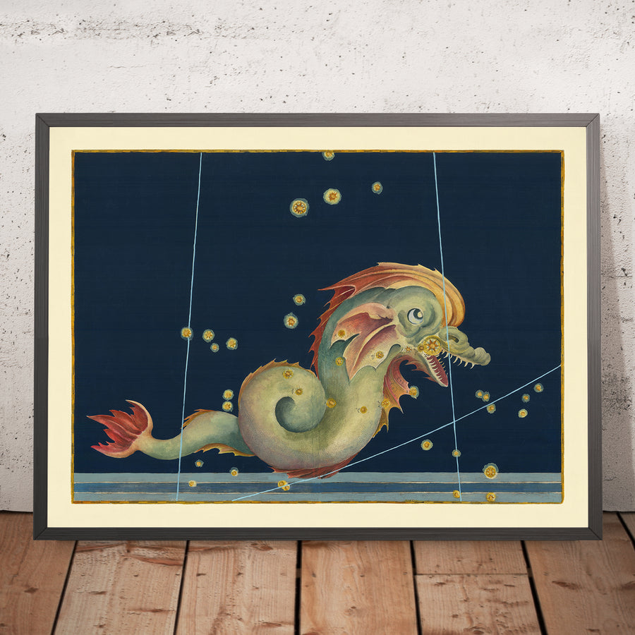 Antica mappa stellare di Piscis Austrinus (Pesce Meridionale) di Johann Bayer, 1603 - Carta delle costellazioni celesti 