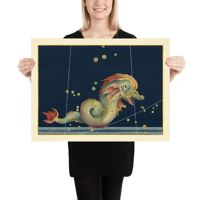 Antica mappa stellare di Piscis Austrinus (Pesce Meridionale) di Johann Bayer, 1603 - Carta delle costellazioni celesti 