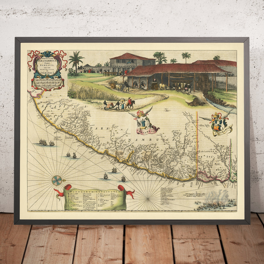 Mappa antica della costa del Brasile di Blaeu, 1662: Pernambuco, Itamaracá, Recife, Olinda, canna da zucchero, navi 