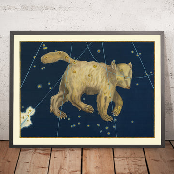 Ancienne carte des étoiles de la Grande Ourse (Ursa Major) par Johann Bayer, 1603 - Carte de constellation céleste 