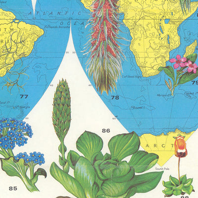 Old World Map of Flower Distribution by Everard, 1972: Botanical Illustrations, Global Flora