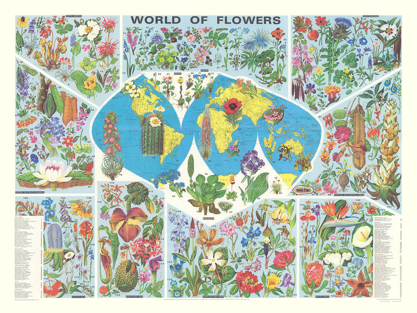 Antiguo mapa infográfico de distribución de flores por Everard, 1972: ilustraciones botánicas, flora global, topografía