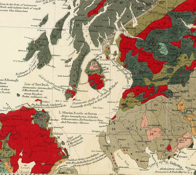 Old Geology & Palaeontology Map of Scotland, 1854, by A.K. Johnston and Edward Forbes - Rare Fossil Wall Chart
