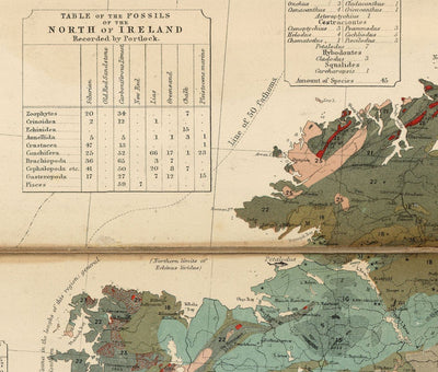 Old Geology & Fossil Map of the British Isles, 1854, by A.K. Johnston and Edward Forbes - UK, Scotland, Ireland, Palaeontology