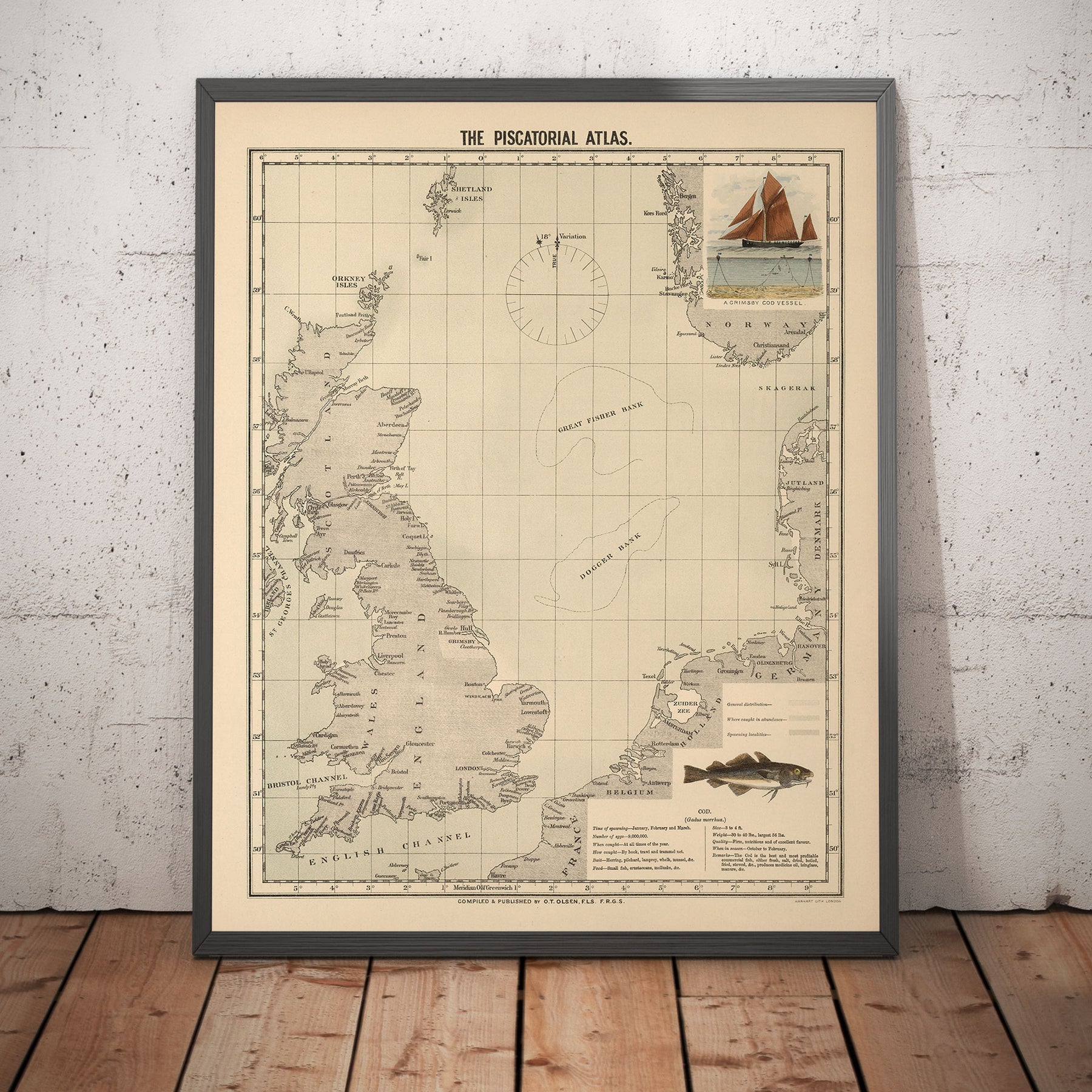 Cod Ocean Map Old Cod Fish Map of the North Sea, 1883 by O.T. Olsen - Cod Fishing, D ...