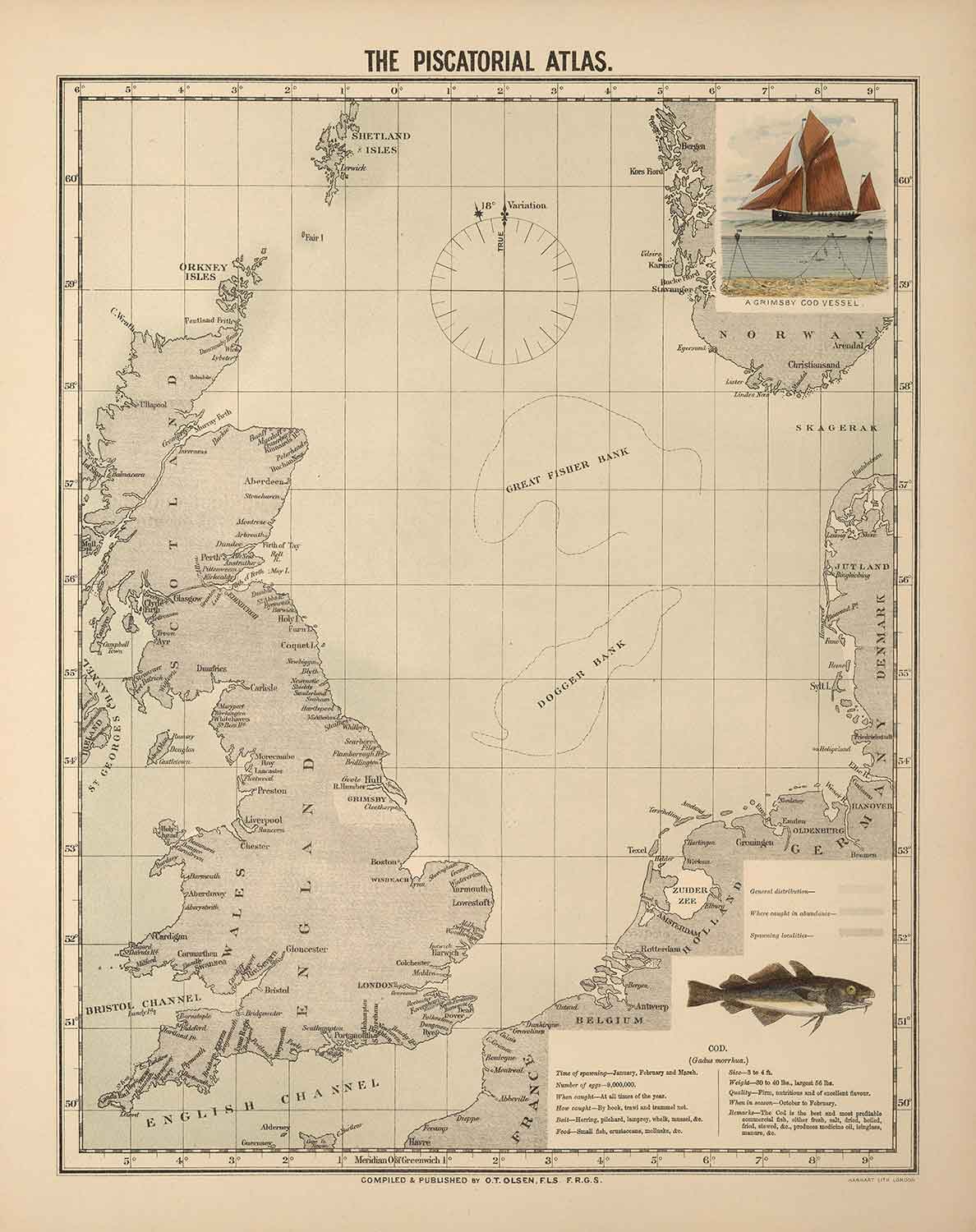 Old Cod Fish Map of the North Sea, 1883 by O.T. Olsen - Cod Fishing, D ...