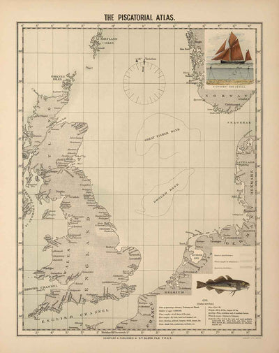 Old Cod Fish Map of the North Sea, 1883 by O.T. Olsen - Cod Fishing, D ...