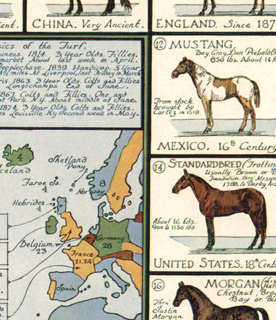 Old Horse Map, 1936 - Old World Atlas Chart with Origins of Breeds - Thoroughbred, Mustang, Shire, Polo Pony, Arabian